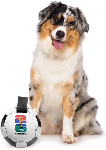 Littlearth Pet Soccer Ball Toy – Officially Licensed FIFA World Cup 2026 in Kuwait