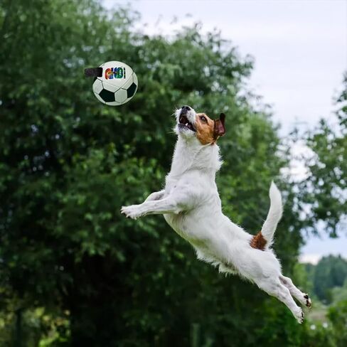 Littlearth Pet Soccer Ball Toy – Officially Licensed FIFA World Cup 2026 in Kuwait