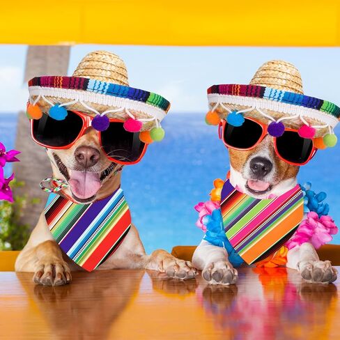 FYSUIMU Dog Sombrero Hat Pet Serape Poncho Costume Cinco De Mayo Colored Stripe Dog Bandana Pet Triangle Bib and Mexican Straw Hat with Felt Pom Ball for Carnival Mexican Party Photo Props, 4 Pcs in Kuwait