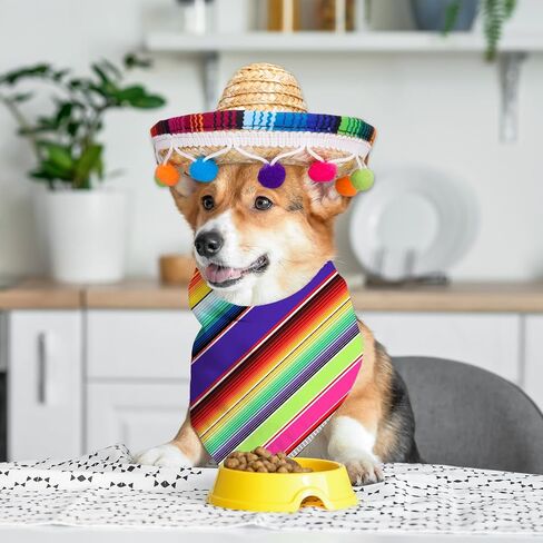 FYSUIMU Dog Sombrero Hat Pet Serape Poncho Costume Cinco De Mayo Colored Stripe Dog Bandana Pet Triangle Bib and Mexican Straw Hat with Felt Pom Ball for Carnival Mexican Party Photo Props, 4 Pcs in Kuwait