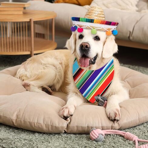 FYSUIMU Dog Sombrero Hat Pet Serape Poncho Costume Cinco De Mayo Colored Stripe Dog Bandana Pet Triangle Bib and Mexican Straw Hat with Felt Pom Ball for Carnival Mexican Party Photo Props, 4 Pcs in Kuwait