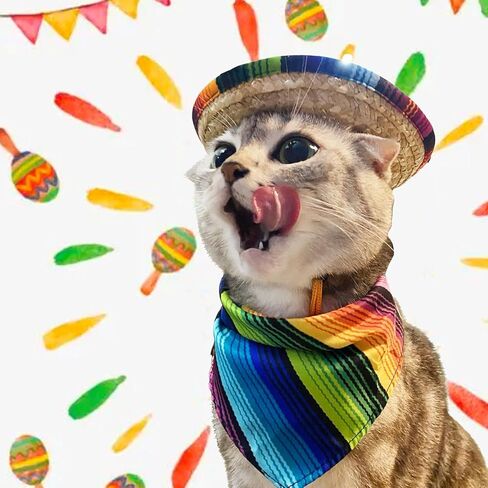 Mexican Pet Costume Set with Sombrero Hat, Colorful Striped Bandana Scarf and Mustache for Cats and Dogs in Kuwait