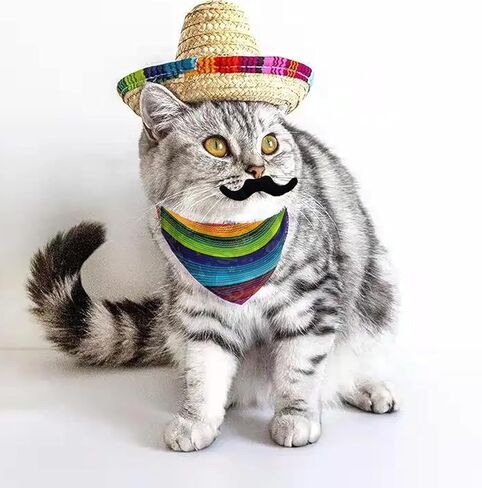 Mexican Pet Costume Set with Sombrero Hat, Colorful Striped Bandana Scarf and Mustache for Cats and Dogs in Kuwait