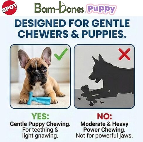 ألعاب مضغ الكلاب من SPOT Bam-Bones Puppy T-Bone، بنكهة الدجاج، 4 بوصات، عبوتان، ألياف الخيزران والمطاط المرن، تصميم سهل الإمساك للمضغ اللطيف والجراء والكلاب الصغيرة حتى 15 رطلاً in Kuwait