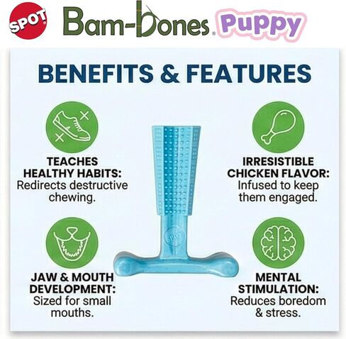 ألعاب مضغ الكلاب من SPOT Bam-Bones Puppy T-Bone، بنكهة الدجاج، 4 بوصات، عبوتان، ألياف الخيزران والمطاط المرن، تصميم سهل الإمساك للمضغ اللطيف والجراء والكلاب الصغيرة حتى 15 رطلاً in Kuwait