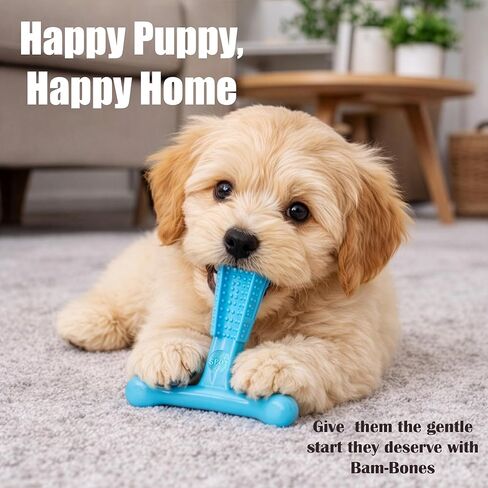 ألعاب مضغ الكلاب من SPOT Bam-Bones Puppy T-Bone، بنكهة الدجاج، 4 بوصات، عبوتان، ألياف الخيزران والمطاط المرن، تصميم سهل الإمساك للمضغ اللطيف والجراء والكلاب الصغيرة حتى 15 رطلاً in Kuwait