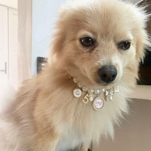 Pet Collars Sweet Cat Jewelry Pearl Rhinestone Princess Puppy Accessories Bow Collar(L,Black) in Kuwait