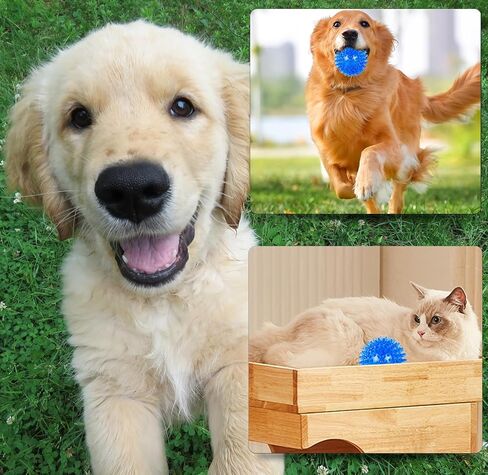 Small Dog Toy Balls, 12 Pcs Rubber Puppy Toy Balls for Ball Launcher, Dog Fetch Balls for Small Breeds 0-15 Lbs in Kuwait
