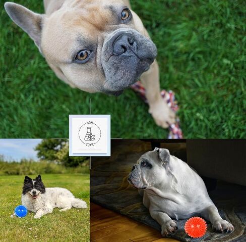Small Dog Toy Balls, 12 Pcs Rubber Puppy Toy Balls for Ball Launcher, Dog Fetch Balls for Small Breeds 0-15 Lbs in Kuwait