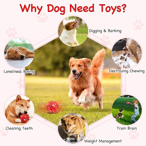 Lollyx Interactive Dog Toys, Rechargeable Moving Dog Toys to Keep Them Busy, Dog Toy Ball for Small/Medium/Large Dogs in Kuwait