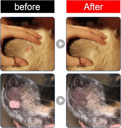 VEZE Dog Skin Tag Remover, Pet Skin Tags Remover, Dog W Removal, Painless - No Irritation, Easily Eliminates Dog W - Skin Tags Removal. (1) in Kuwait