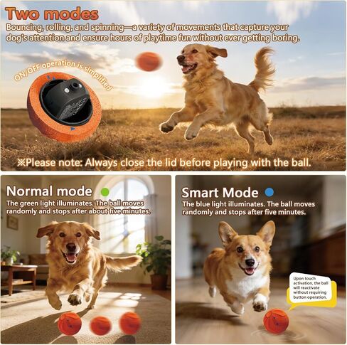 كرات ألعاب تفاعلية ذكية للكلاب، Pelota Interactiva para Perros. حركة أوتوماتيكية، ارتداد، مادة E-TPU، تصنيف IPX7 لمقاومة الماء، كرة نطاطة للحيوانات الأليفة للكلاب المتوسطة والكبيرة - برتقالية in Kuwait
