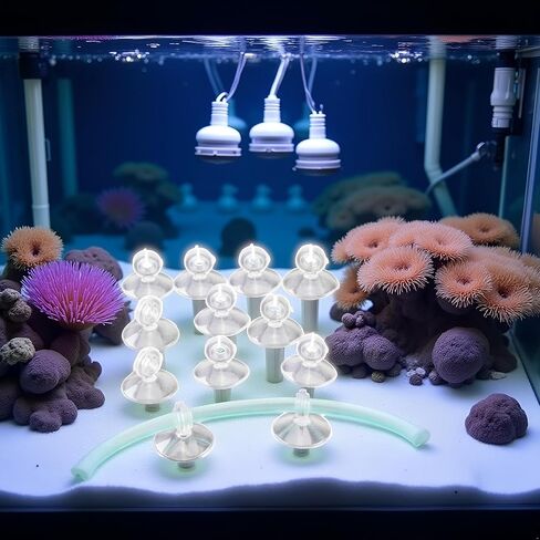10Pcs Aquarium Suction Cup Clips Set, Fish Tank Air Line Holder, Clear Plastic for Glass Fish Supples in Kuwait