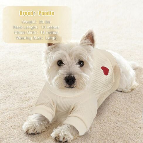 2-Pack Dog Shirts, Soft Cozy Short Sleeve Dog Tshirts for Small Medium Dogs Girls Boys, Embroidered Heart Waffle Short Dog Clothes, Ideal for Daily Wear Dog T Shirt, Medium, Pink & Yellow in Saudi Arabia