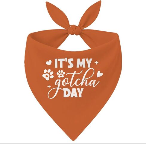 It's My Gotcha Day Brother Dog Bandana، إكسسوارات وشاح أزرق للكلاب الأليفة، باندانا للكلاب الصغيرة والمتوسطة، وشاح مثلث للحيوانات الأليفة، هدايا لمحبي الكلاب in Kuwait