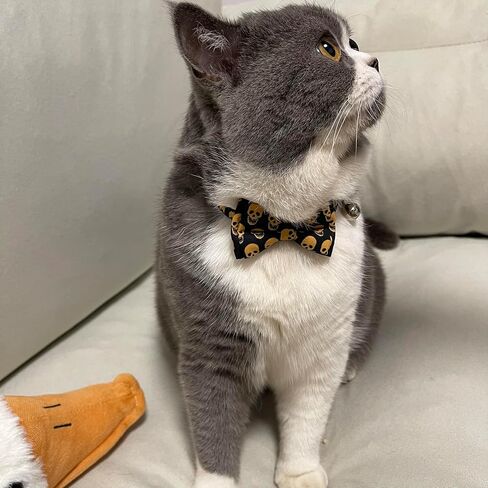 Cat Collar Breakaway, Collar Adjustable Breakaway Cat Bowtie Collor – 7.8-10.2" Cute Elastic Strap for Kittens Cats and Small Puppies(Skull) in Kuwait