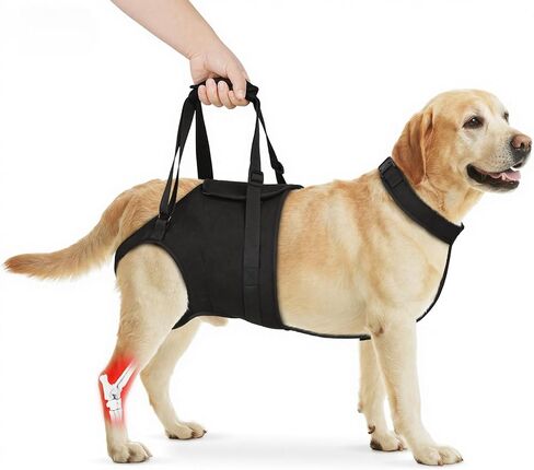 Supet Dog Sling for Large Dogs Hind Leg Support, Senior Dogs Lift Assist Harness for Weak Back Leg Support, Help Large Breed Rear Leg Up Harness, Mobility Aids for Elderly, Injured, Paralyzed Dog, L in Saudi Arabia