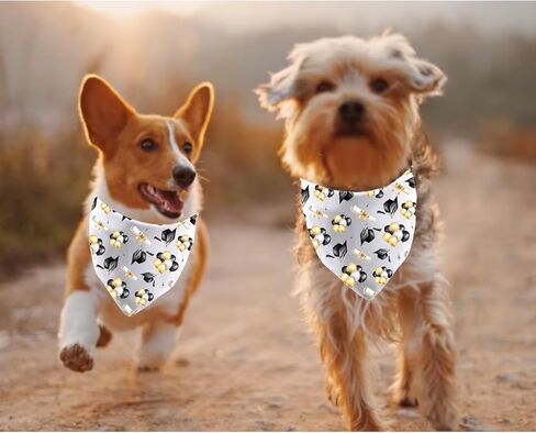 JXGZSO 1 Piece Graduation Announcement Dog Bandana Graduation Themed Tie On Scarf Grad Party Gift (Graduation Dog) in Kuwait