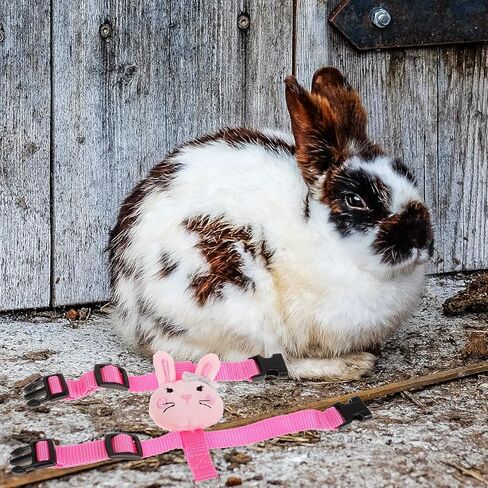 Rabbit Harness Leash Set for Small Pets, Wear-Resistant Outdoor Bunny Vest Harness with Escape Prevention, Adjustable Ferret and Dwarf Rabbit Traction Leash, Size S, 2pcs Set in Kuwait