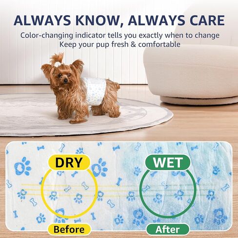 Dog Diapers Male Small, Disposable Male Dog Wraps with Wetness Indicator, Belly Bands for Marking & Training, Extended Tabs, 6-Layer SAP Core, 12-19" Waist, 50 Count in Kuwait