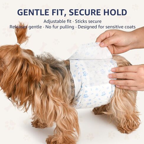 Dog Diapers Male Small, Disposable Male Dog Wraps with Wetness Indicator, Belly Bands for Marking & Training, Extended Tabs, 6-Layer SAP Core, 12-19" Waist, 50 Count in Kuwait