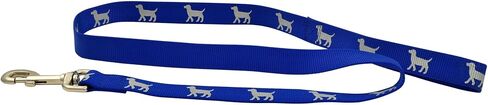 Jeffers Reflective Glow in the Dark Nylon Dog Leash 1" x 4' – Durable Webbing Leash with Safety Stripe, Metal Clip, Walking, Training, Running, Outdoor Use for Dogs Puppies Pets - Blue in Kuwait
