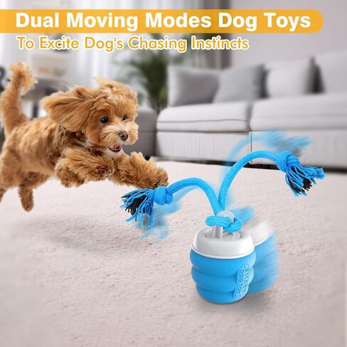 Interactive Dog Toys Ball - Fun Moving Dog Toys to Keep Them Busy | Rechargeable Smart Automatic Dog Ball for Large, Medium, and Small Puppy Dogs for Boredom, Blue in Kuwait