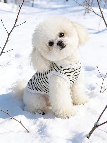 Pet Dog Sleeveless Vest Polka Dot Stripe Knit Design Breathable Thin Fabric Korean Style for Small Medium Dogs White M in Kuwait