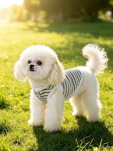 Pet Dog Sleeveless Vest Polka Dot Stripe Knit Design Breathable Thin Fabric Korean Style for Small Medium Dogs White M in Kuwait