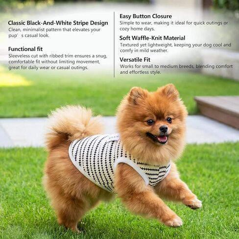 Pet Dog Sleeveless Vest Polka Dot Stripe Knit Design Breathable Thin Fabric Korean Style for Small Medium Dogs White M in Kuwait