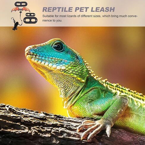 SHINEOFI Adjustable Lizard Leash and Gecko Harness Set, Reptile Outdoor Walking Traction Rope, Lightweight Bearded Dragon Accessory for Small Pet Safety in Kuwait