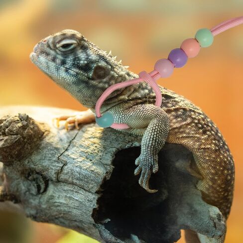 Tofficu Adjustable Lizard Traction Rope Glow in Dark Small Pet Harness Leash for Outdoor Reptile Walking and Training in Kuwait