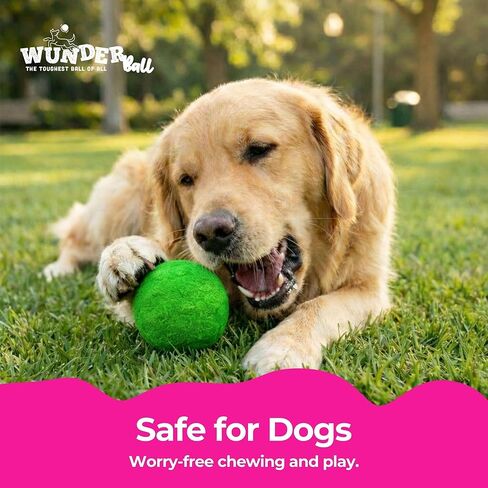 لعبة WACKYwalk'r WUNDERball المتينة لجلب الكلاب - كرة مطاطية طبيعية غير قابلة للتدمير، أكثر أمانًا من كرات التنس، تطفو للعب الداخلي والخارجي، مصنوعة يدويًا في أمريكا الشمالية، أرجواني متوسط ​​(يصل إلى 40 رطلاً) in Kuwait