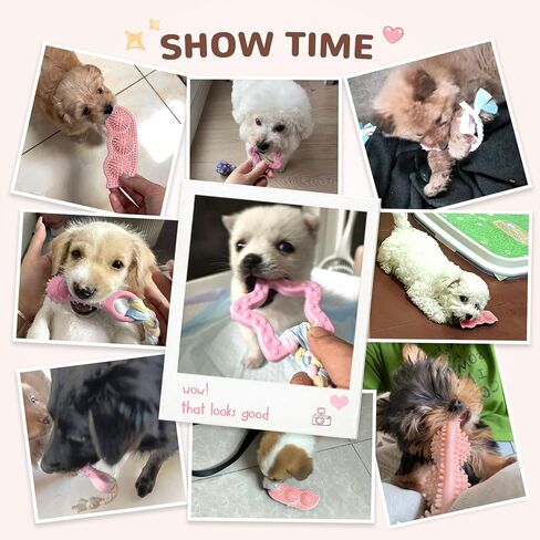 5 Pack Puppy Chew Toys for Small Dogs,Puppy Teething Toys for Small Puppies,Soft Rubber Dog Toys for Small Breed Interactive Chew Toys to Keep Them Busy (Pink) in Kuwait