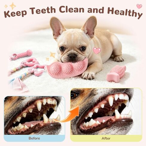 5 Pack Puppy Chew Toys for Small Dogs,Puppy Teething Toys for Small Puppies,Soft Rubber Dog Toys for Small Breed Interactive Chew Toys to Keep Them Busy (Pink) in Kuwait