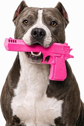 Durable Nylon Dog Chew Toy for Medium & Large Dogs Tough Chew Toy for Aggressive Chewers, Helps Clean Teeth, for Strong Jaws, Beef Flavor (Yellow) in Saudi Arabia