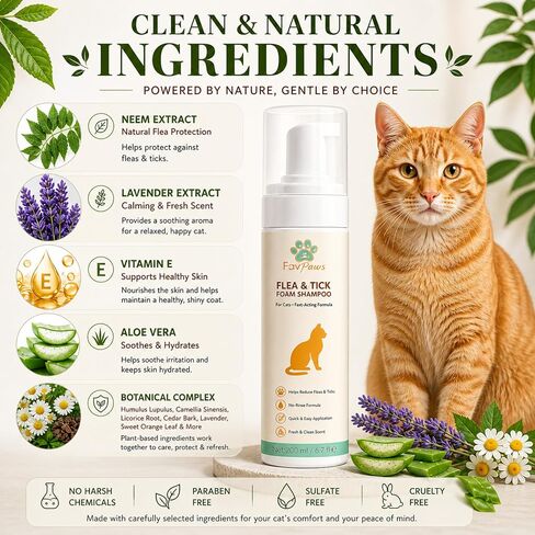شامبو رغوي بدون ماء للقطط من Flea & Tick - تركيبة العناية بالقطط بدون شطف - تنظيف معطف العناية اللطيفة - رائحة نظيفة منعشة - شامبو جاف للقطط والقطط الصغيرة -200 مل (6.7 أونصة سائلة) in Kuwait