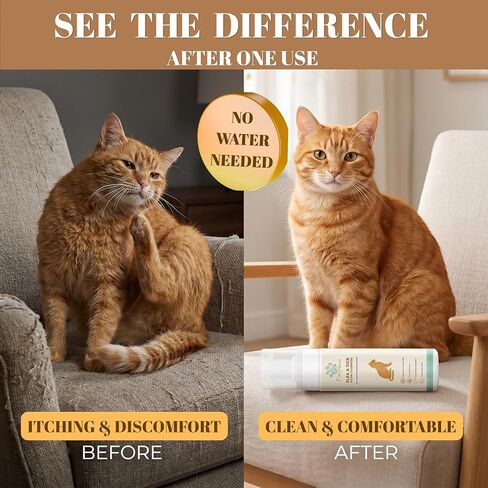 شامبو رغوي بدون ماء للقطط من Flea & Tick - تركيبة العناية بالقطط بدون شطف - تنظيف معطف العناية اللطيفة - رائحة نظيفة منعشة - شامبو جاف للقطط والقطط الصغيرة -200 مل (6.7 أونصة سائلة) in Kuwait