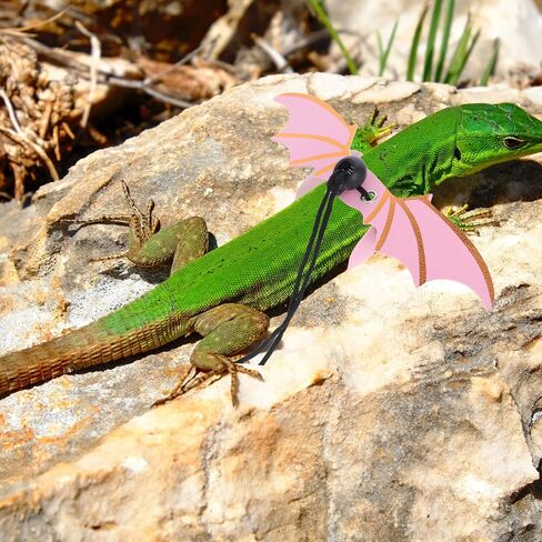 ULTECHNOVO Adjustable Rose Harness and Leash with Wings, Escape-Prevention Outdoor Reptile Leash for Small Pets and Bearded Dragons in Kuwait