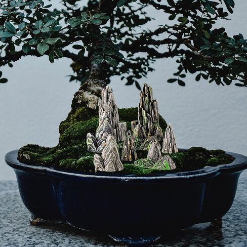 Toyvian Mini Resin Rockery Statues, 8Pcs Miniature Mountain Figurines for Aquarium Decor Fairy Garden Tiny Accessories for Terrarium Bonsai Zen Garden Fish Tank Landscaping in Kuwait