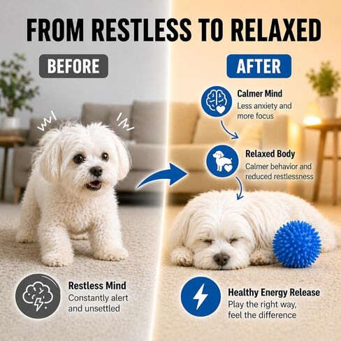 Vila 3-Pack Squeaky Dog Ball Toys, 2.3", Massage Teeth and Gums, Spikey Dog Rubber Balls, Toss Fetch Squeeky Doggy Balls for Multi-Pet Homes in Kuwait