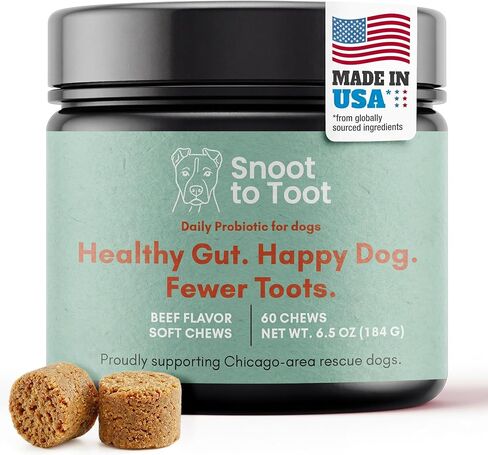 Probiotics for Dogs with Prebiotics, Digestive Enzymes, Pumpkin Fiber & Colostrum, Daily Supplement for Gut Health & Diarrhea Support, 60 Beef Flavored Soft Chews in Kuwait