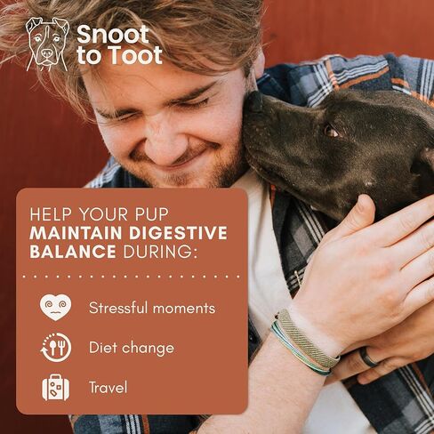 Probiotics for Dogs with Prebiotics, Digestive Enzymes, Pumpkin Fiber & Colostrum, Daily Supplement for Gut Health & Diarrhea Support, 60 Beef Flavored Soft Chews in Kuwait