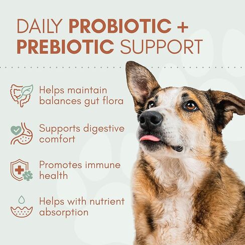 Probiotics for Dogs with Prebiotics, Digestive Enzymes, Pumpkin Fiber & Colostrum, Daily Supplement for Gut Health & Diarrhea Support, 60 Beef Flavored Soft Chews in Kuwait