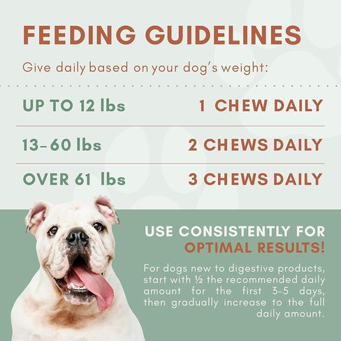 Probiotics for Dogs with Prebiotics, Digestive Enzymes, Pumpkin Fiber & Colostrum, Daily Supplement for Gut Health & Diarrhea Support, 60 Beef Flavored Soft Chews in Kuwait