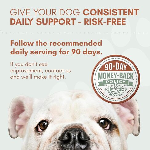 Probiotics for Dogs with Prebiotics, Digestive Enzymes, Pumpkin Fiber & Colostrum, Daily Supplement for Gut Health & Diarrhea Support, 60 Beef Flavored Soft Chews in Kuwait