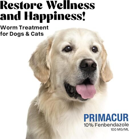 تركيبة دعم التعليق الفموي واسع النطاق من Vetr Primacur 10% معلق عن طريق الفم للكلاب والقطط - 240 مل/8.1 أونصة - نكهة زبدة الفول السوداني in Kuwait