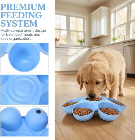POPETPOP Cat Food Bowl with 6 Bowls - Pet Feeder for Kitten Puppy, Multi Cat Dishes, Multiple Dinner Feeder for Indoor s, Dishes for Food and Water (Blue) in Kuwait