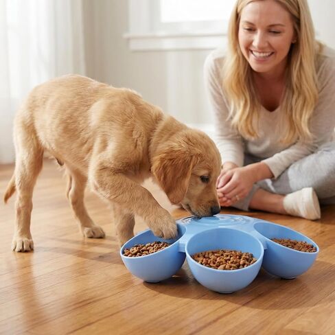 POPETPOP Cat Food Bowl with 6 Bowls - Pet Feeder for Kitten Puppy, Multi Cat Dishes, Multiple Dinner Feeder for Indoor s, Dishes for Food and Water (Blue) in Kuwait