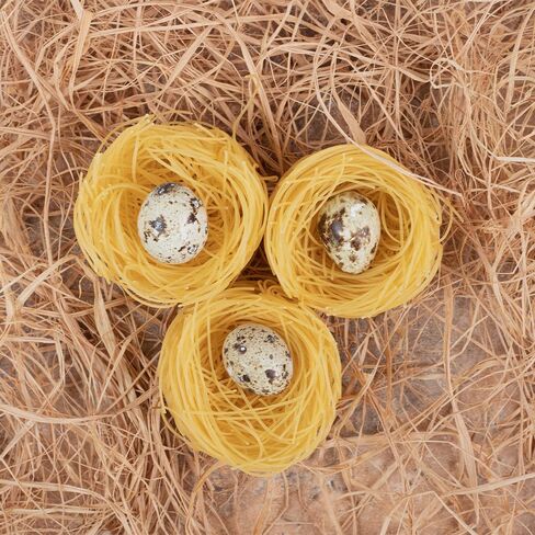 Coconut Fiber for Bird Nests Bird Nesting Material Coconut Bird Nest Finch Coconut Fiber Pet Bedding Substrate for Laying Eggs, Resting Materials, Hummingbird Parakeet Lovebirds in Kuwait